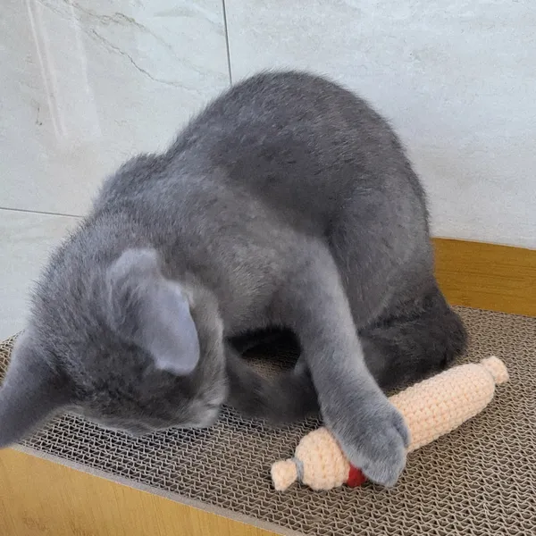 제이공방 Thailand - เทรนด์แต่งบ้าน 2026: สัมผัสเรื่องราวผ่านงานฝีมือและศิลปะแห่งการถักทอ image 7