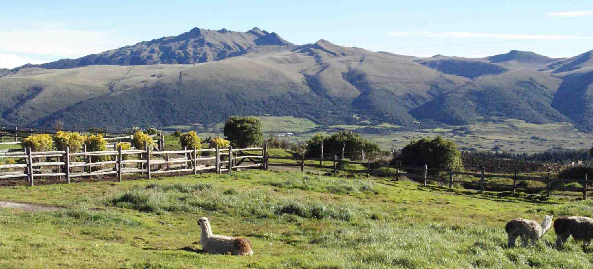 Agrotourism