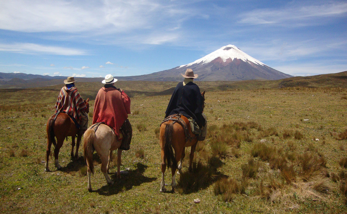 Where to go? | Ecuador