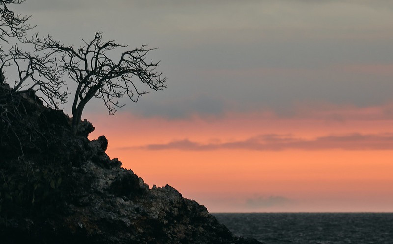 Andes, amazon &  Galapagos