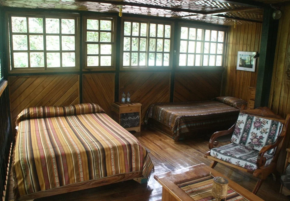 Pichincha Suite | Bellavista cloudforest lodge