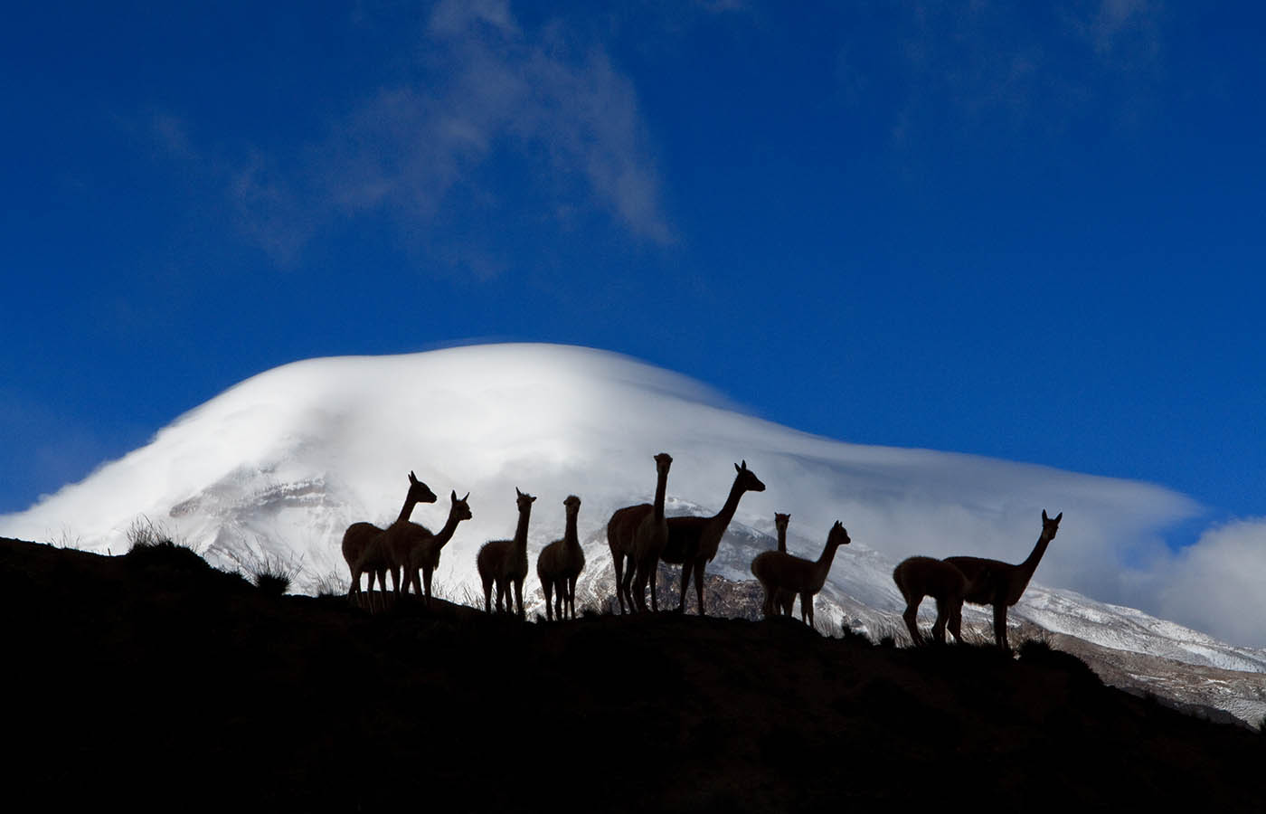 Chimborazo Volcano