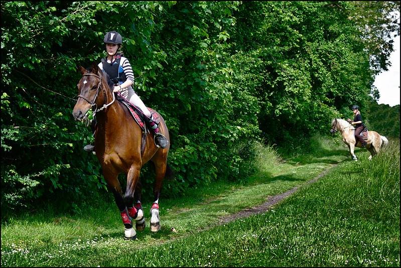 Equestrian tours