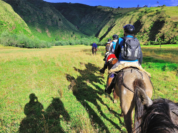 Horseback riding | Hacienda Zuleta
