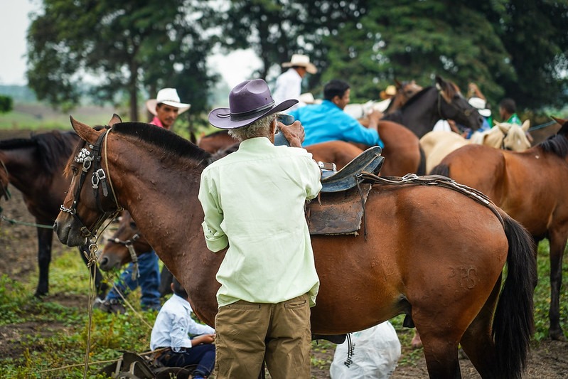 Horseback riding