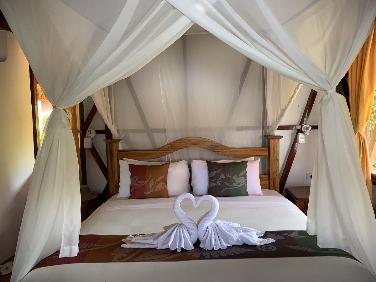 Matrimonial suite | Napo Wildlife Center