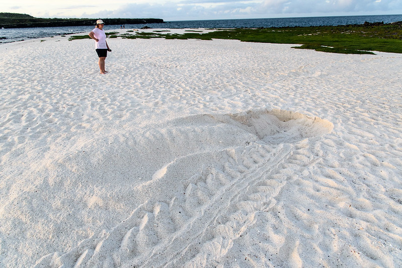 Galapagos beach