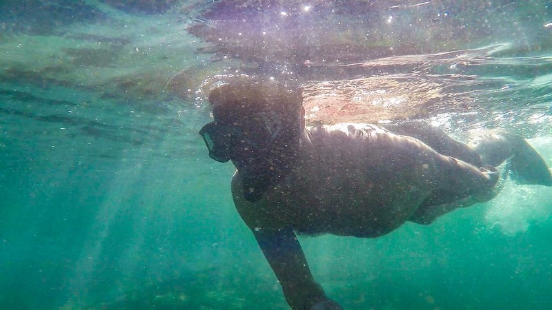 Snorkeling tour