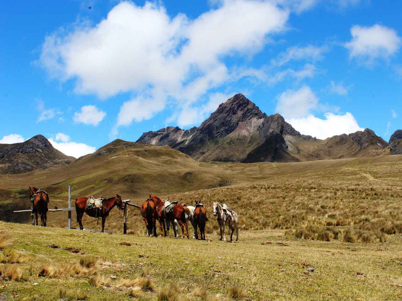 Horseback riding | Volcano land