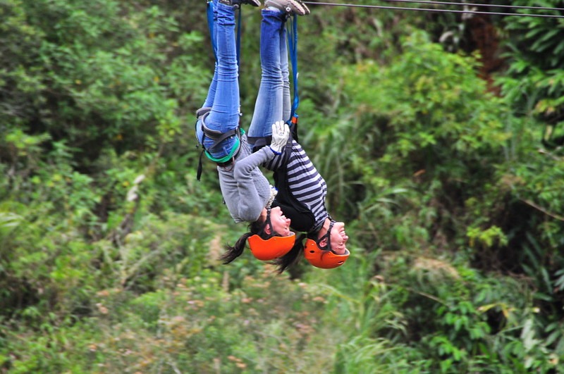 Canopy tours