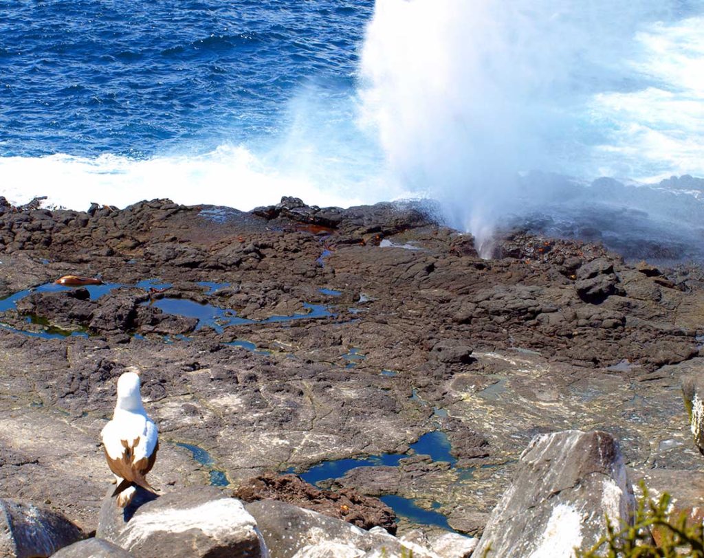 What is the Galápagos archipelago?