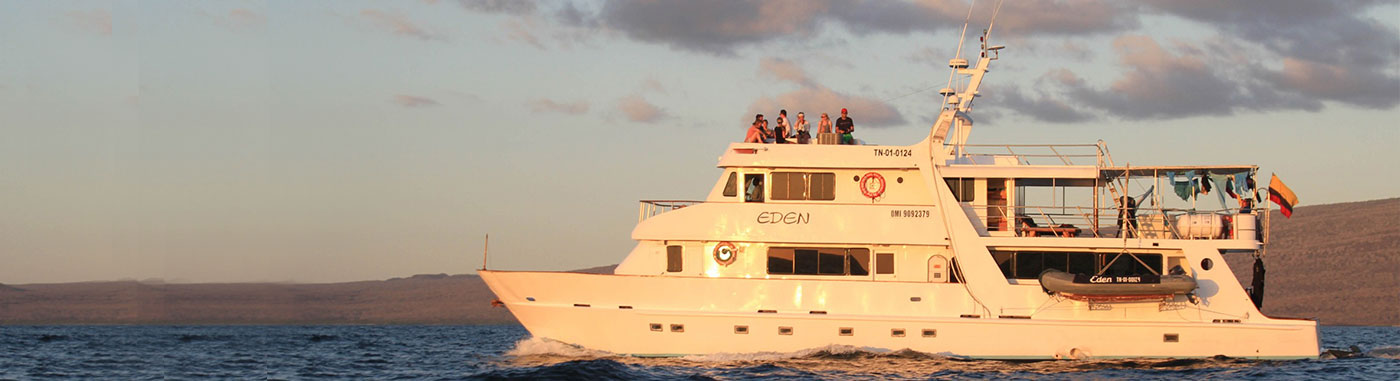 Eden Yacht is the best option to explore the Galapagos Islands