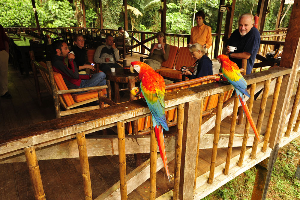 Tambopata Amazon 