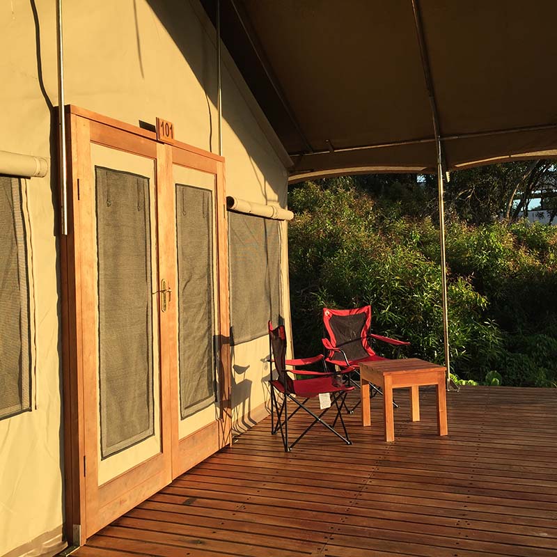 Outdoor area | Scalesia Lodge