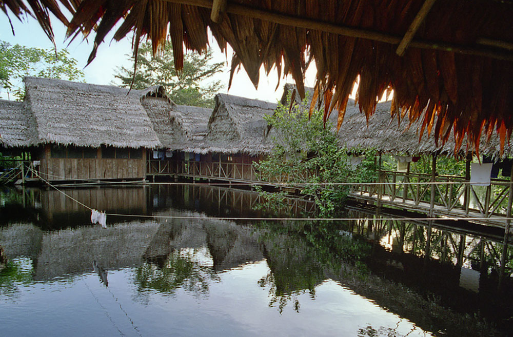 Tahuayo Amazon 