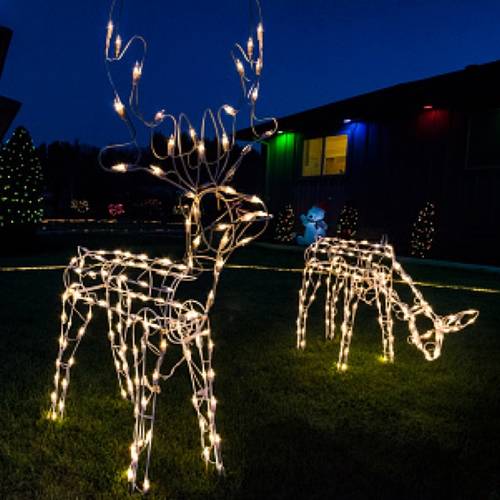 Reindeer lights