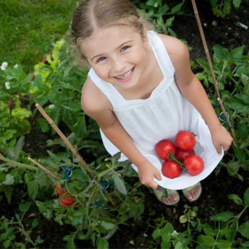 Girl Holding Tomatoes