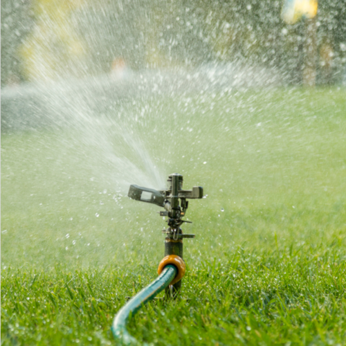 Watering Lawn