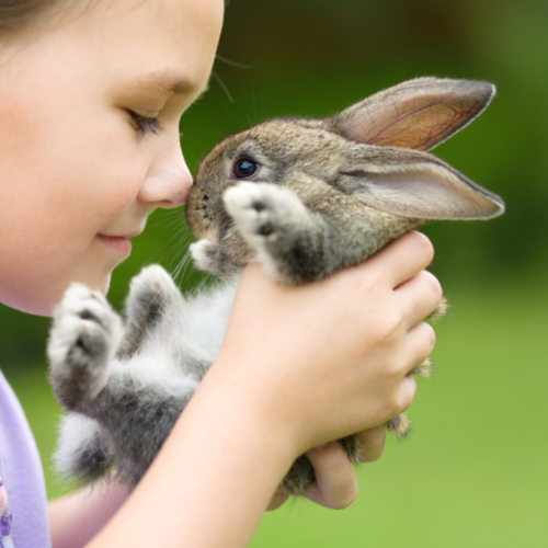 Girl Holding Rabbit