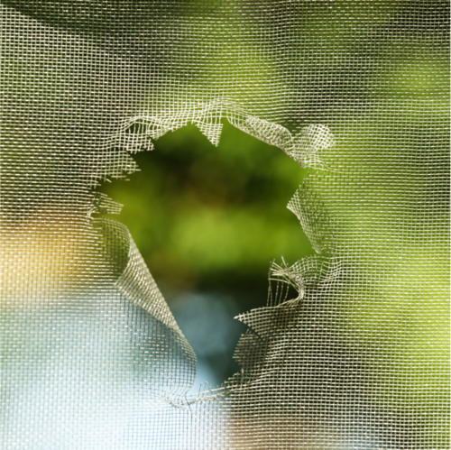 Hole in Screen