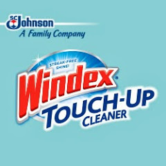 Windex logo