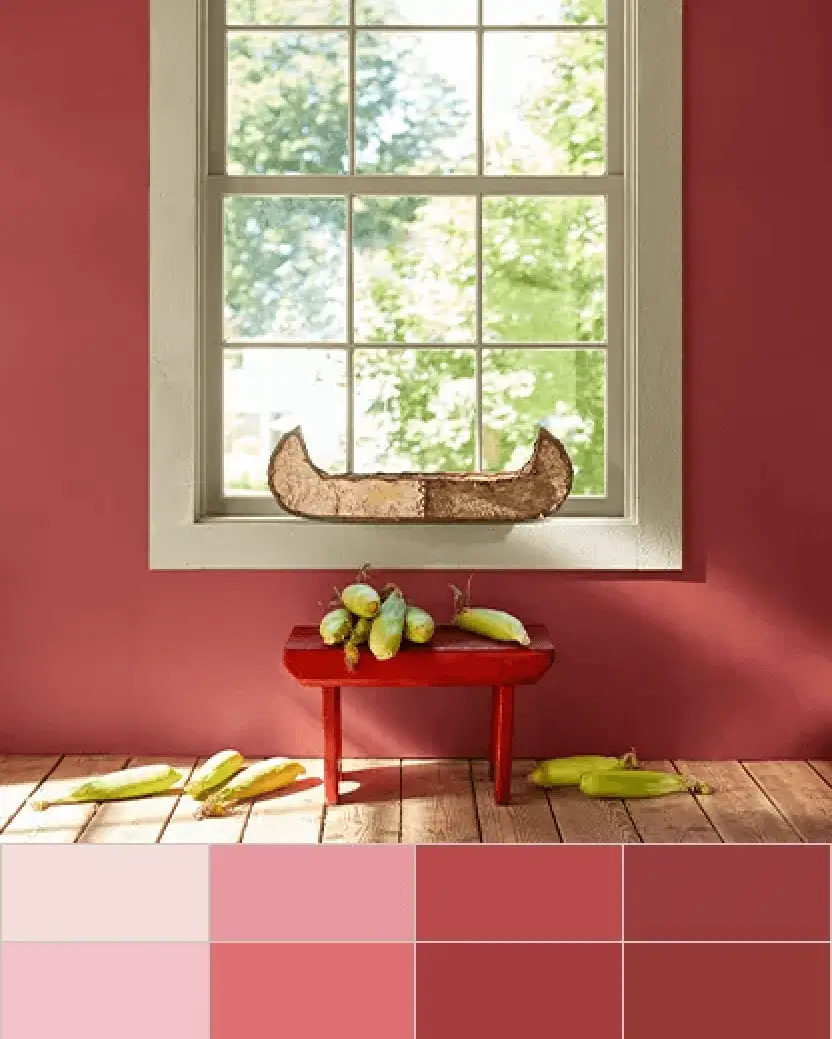 Personal Color Viewer