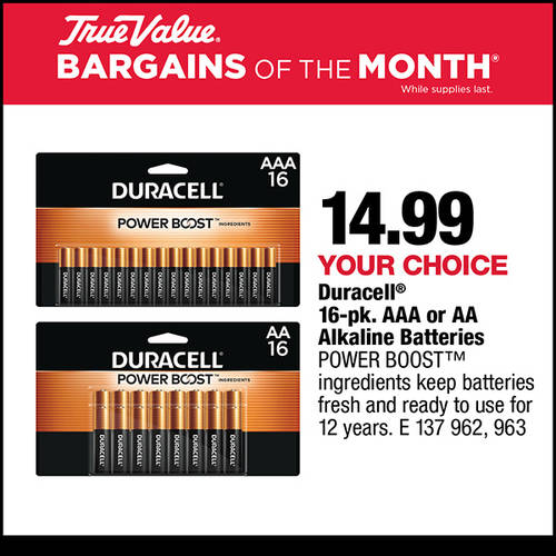 April 2024 BOM Web Builder Tile - Duracell AA or AAA Batteries