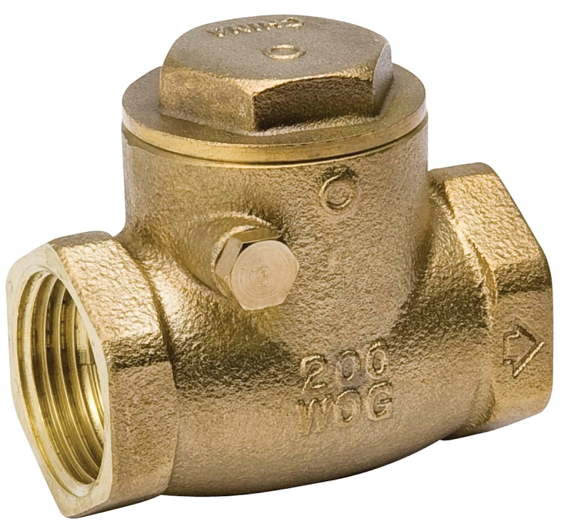 Threaded Swing Check Valve, Brass, 1/2 In.