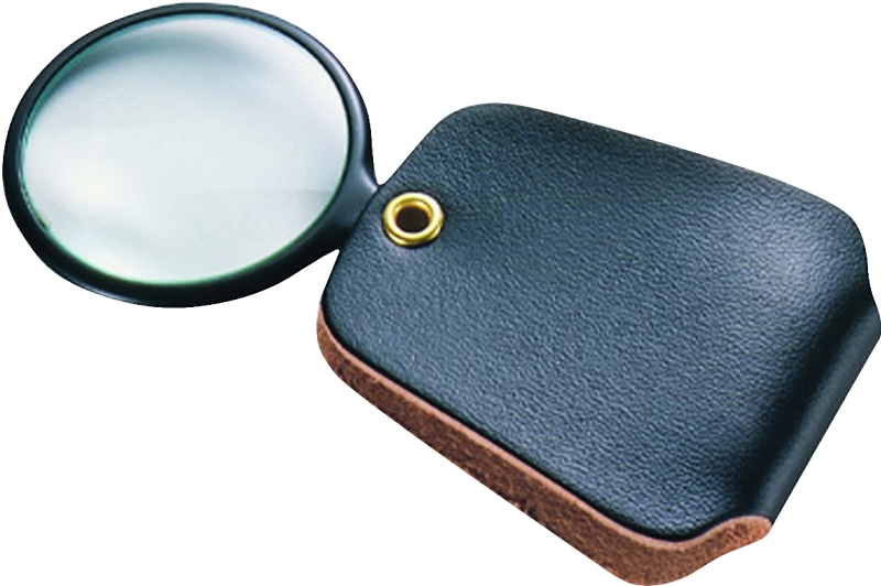 2.5-Power Pocket Magnifier with Case