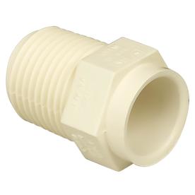 Charlotte Pipe 1/2 In. Male Thread to CPVC Adapter