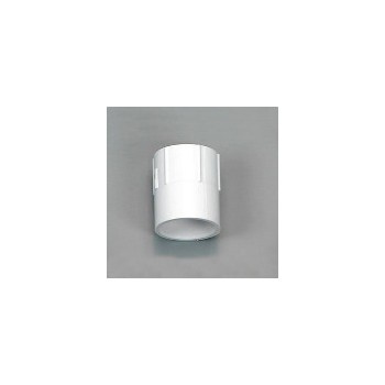 Charlotte Pipe Female Schedule 40 3/4 in. PVC Adapter
