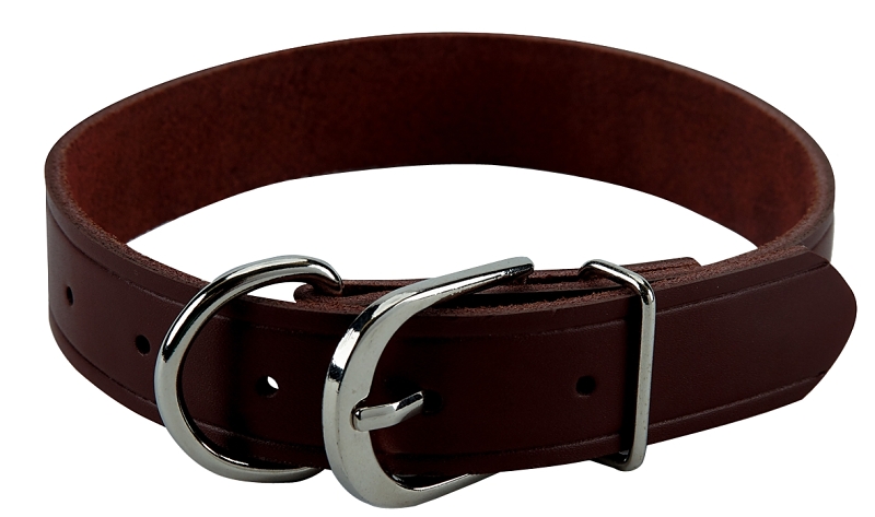 Boss Pet Guardian Gear 1 In. x 11 to 15 In. Leather Hunting Dog Collar
