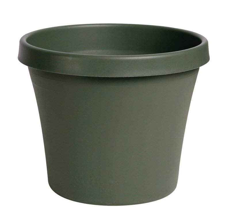 Terra Living Green 5.5 In. H X 6 In. Dia. Polypropylene Planter