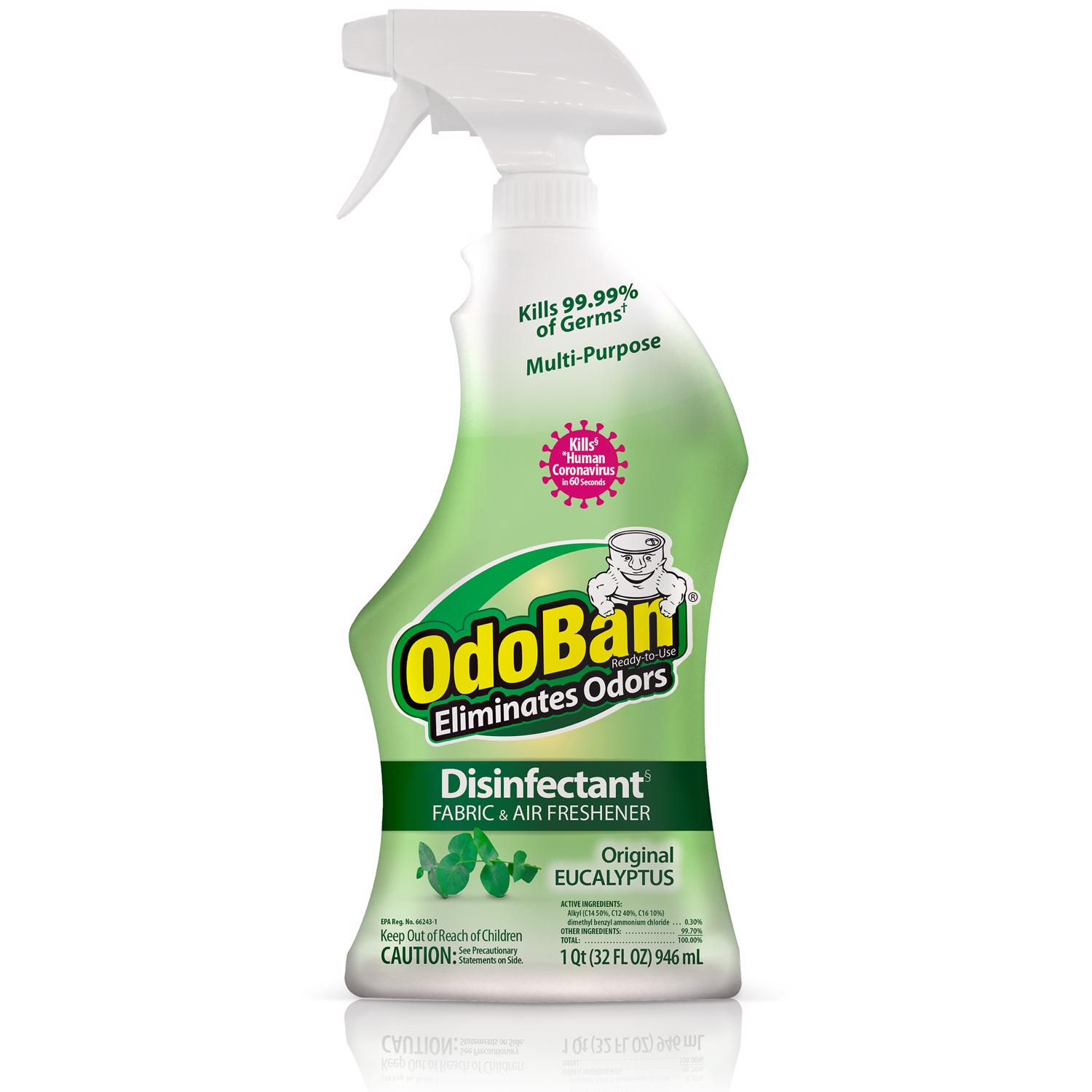 OdoBan 32 Oz. Eucalyptus Washable Surface Sanitizer & Deodorizer