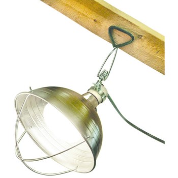 R609 10.5 In. Brooder Lamp With Clamp For Poultry And Livestock