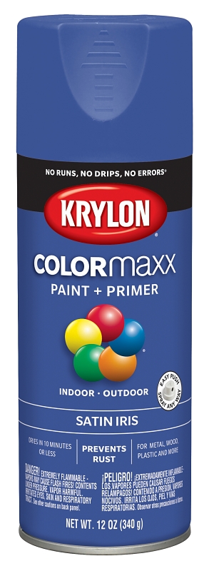 COLORmaxx Spray Paint + Primer, Satin Iris, 12-oz.