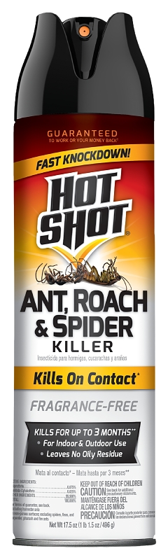 17.5 Oz. Fragrance-free Aerosol Spray Ant, Roach, & Spider Killer