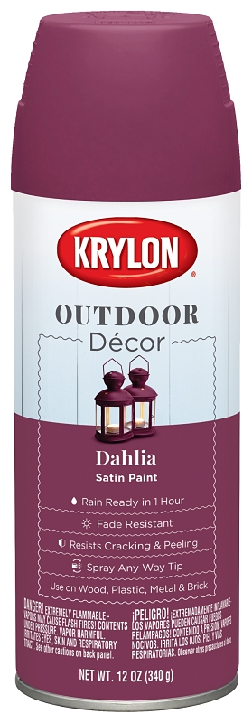 Outdoor Decor Satin Spray Paint 12 Ounce - Dahlia Color