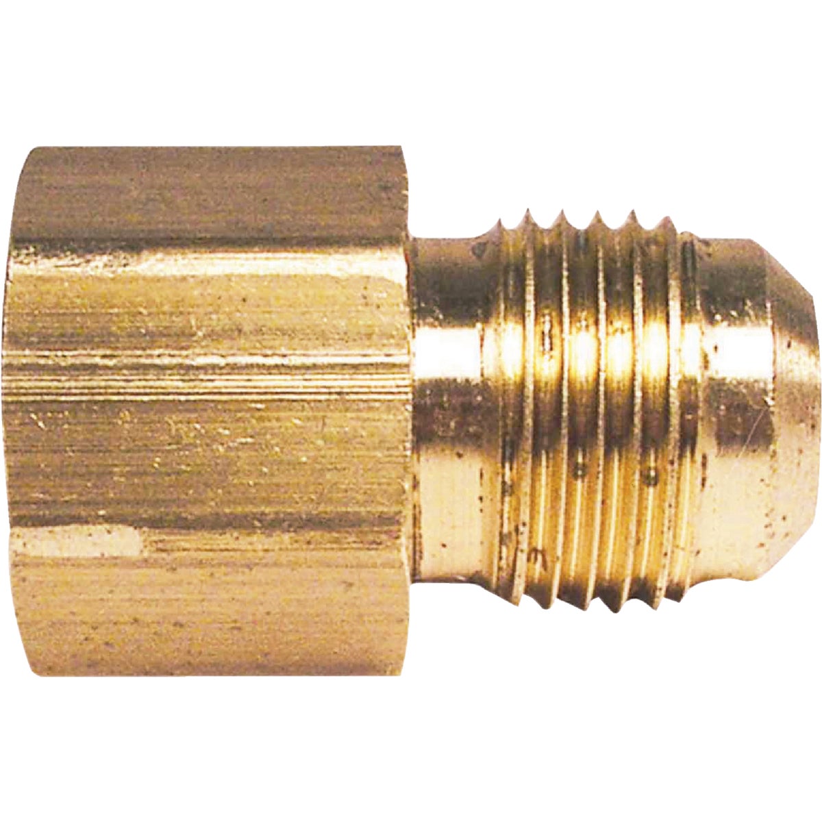 1/4 In. X 1/4 In. Brass Female Flare Adapter For Plumbing
