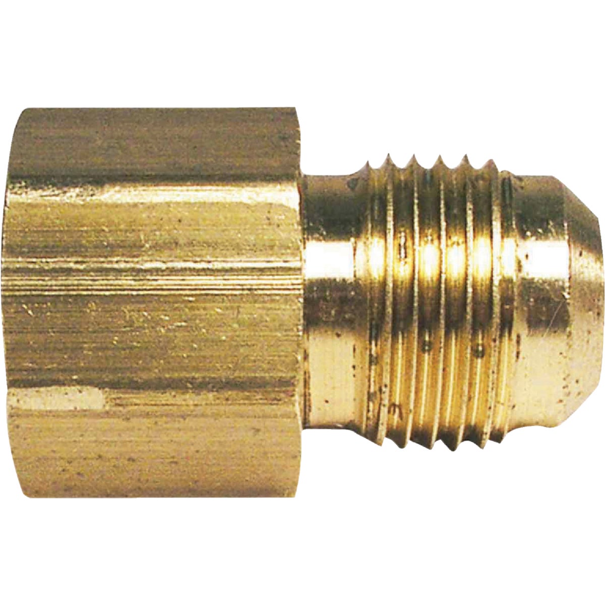 5/8 In. X 3/4 In. Brass Female Flare Adapter For Plumbing