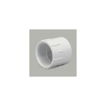 Charlotte Pipe Female Schedule 40 2 in. PVC Adapter