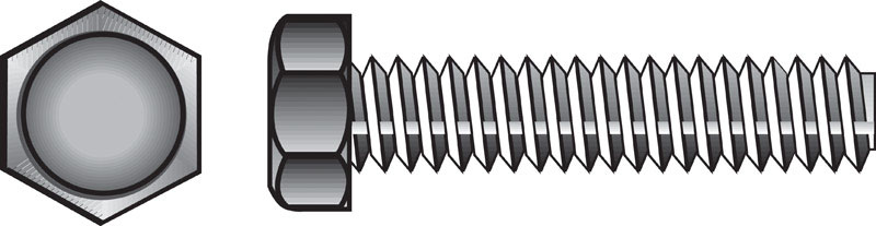 HX TAP BOLT 5/16X6