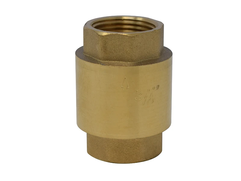 CHECK VALVE (SPRINGLOADED)