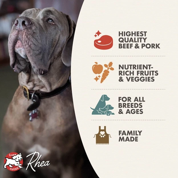 Four Star Nutritionals Beef Frittata Veg® Recipe Dry Dog Food 4 lb