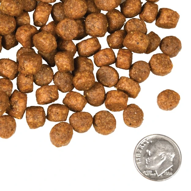 Four Star Nutritionals Beef Frittata Veg® Recipe Dry Dog Food 4 lb