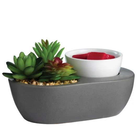 ARTSCENTS WAX WARMER SUCCULENT