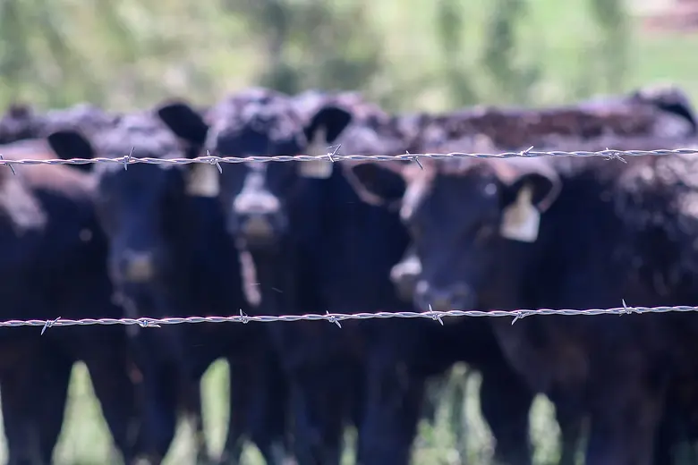 Stockman's Deluxe Barbwire 2P x 5" Spacing 12-1/2 ga 1320'