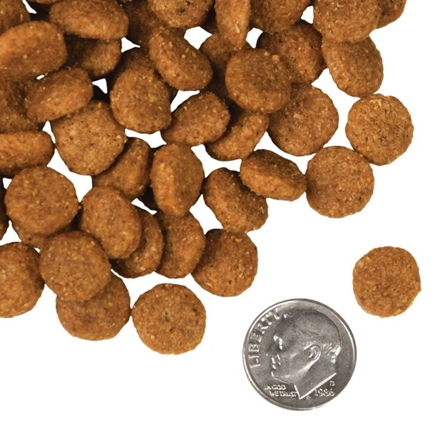 Four-Star Nutritionals Pork & Applesauce Dog Food - Premium Dry Dog Food - Pork Recipe - 4 lb