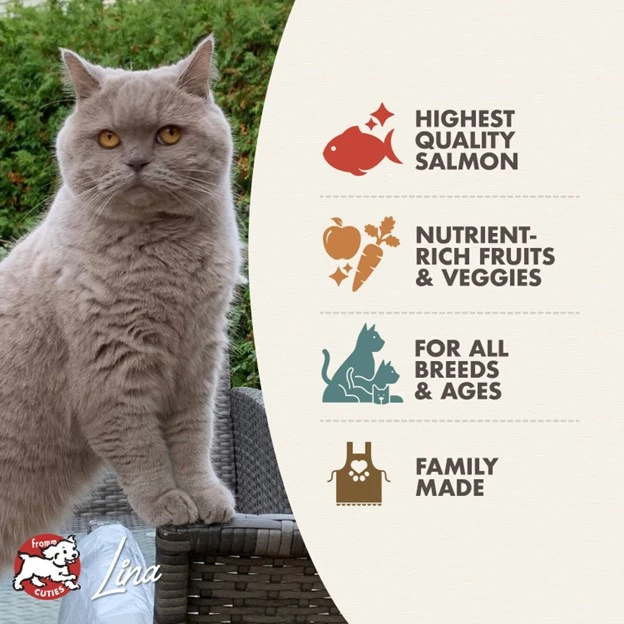 Four-Star Salmon À La Veg® Recipe Dry Cat Food 4 lb