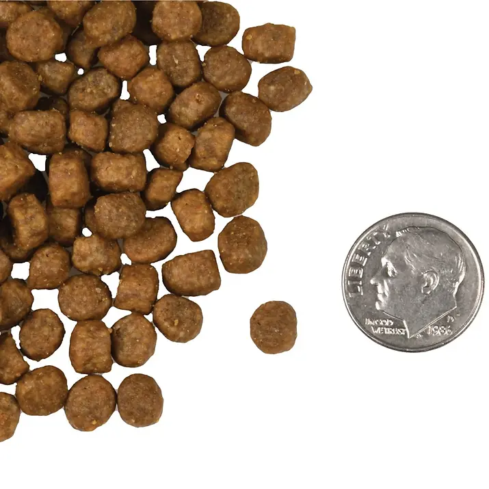 Four-Star Salmon À La Veg® Recipe Dry Cat Food 4 lb